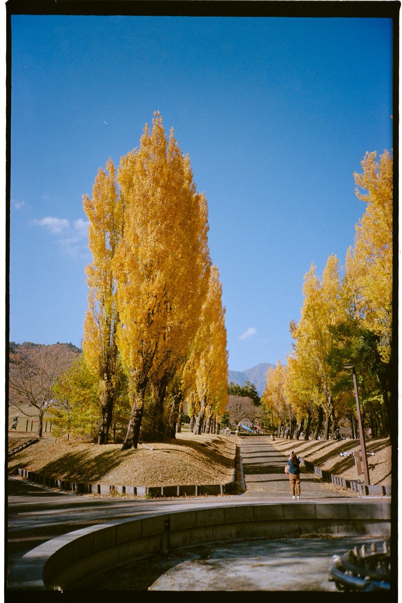 kon__gitsune's tweet image. DazzカメラのGR Fモードで撮った写真が、フィルムカメラRICOH R1で撮った写真と並べても違和感ない。。。

同じ被写体で今度比べたいです📸📱
#dazz #RICOHR1

←RICOH R1(フィルムカメラ)

→Dazz Camera GR F(スマホアプリ)