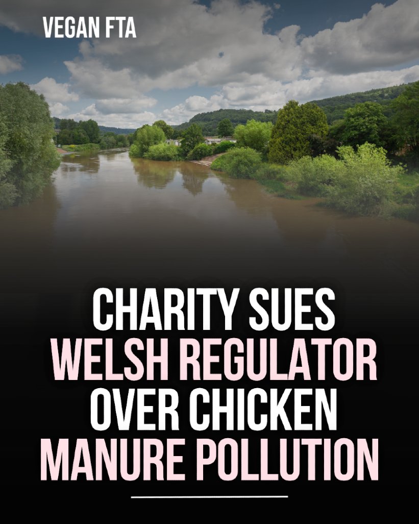 Vegan FTA tweet media