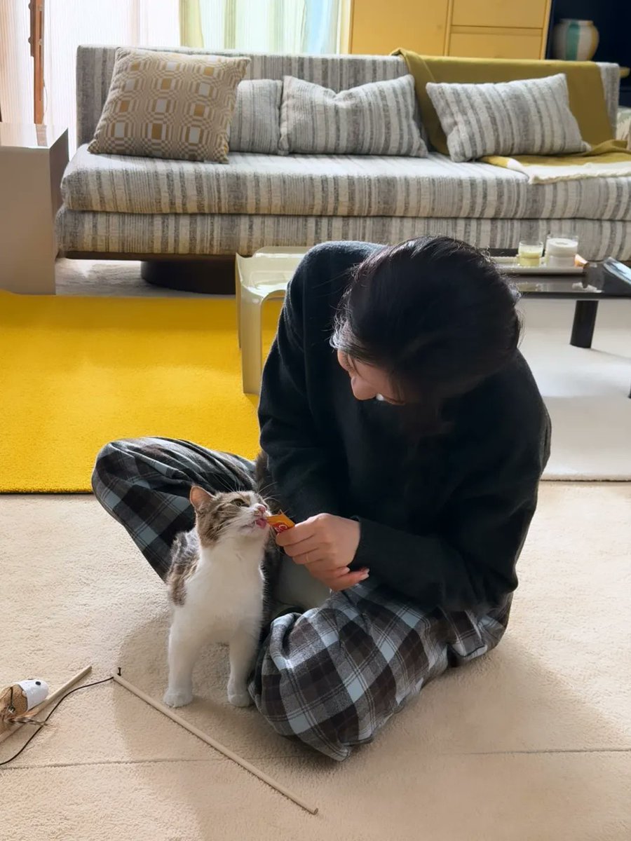 bandaling77's tweet photo. https://t.co/BT47nfvSLE