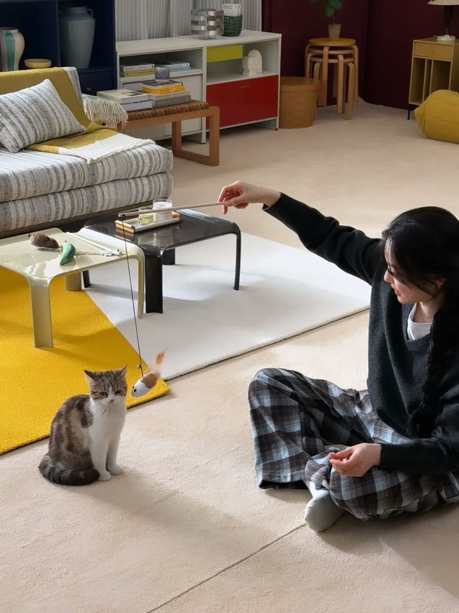 bandaling77's tweet photo. https://t.co/BT47nfvSLE