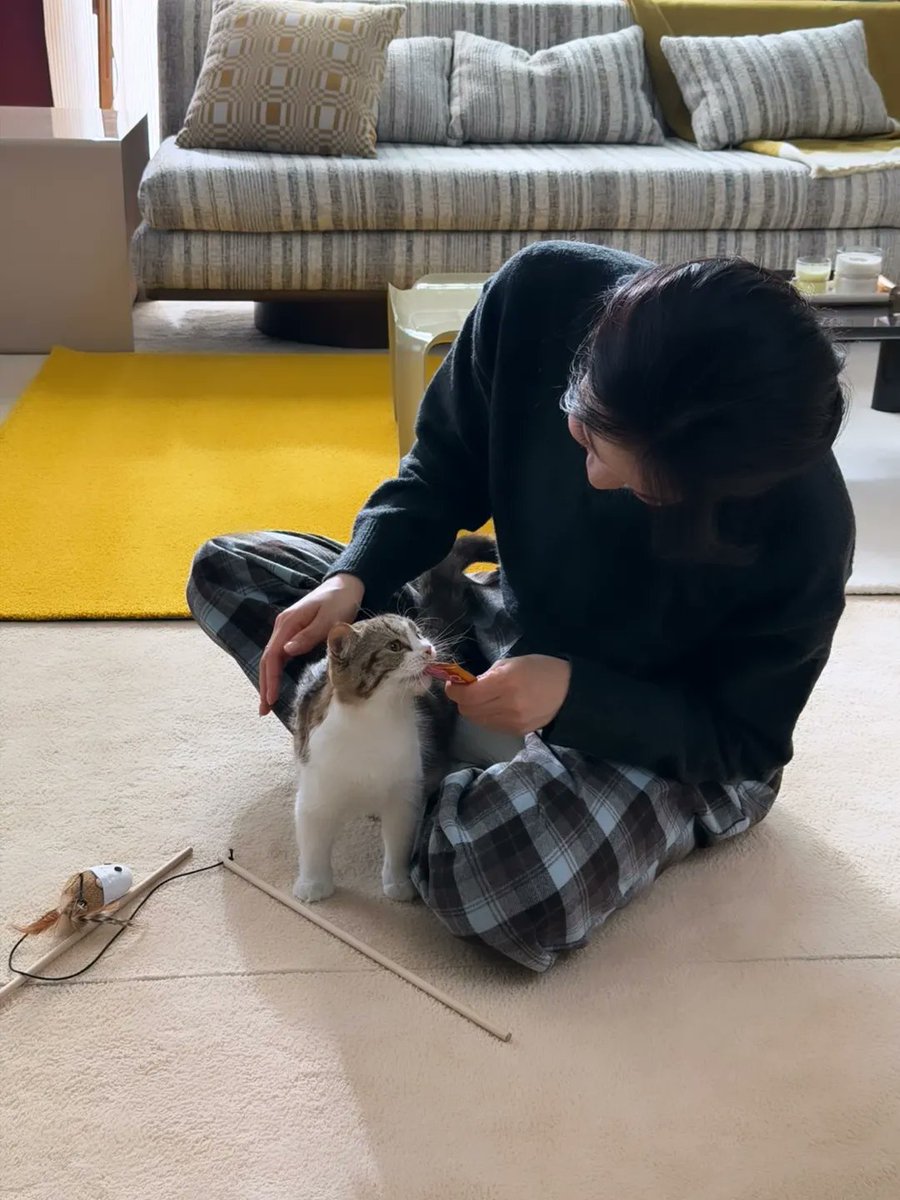 bandaling77's tweet photo. https://t.co/BT47nfvSLE