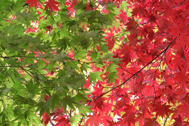 Sasha Matthews tweet media