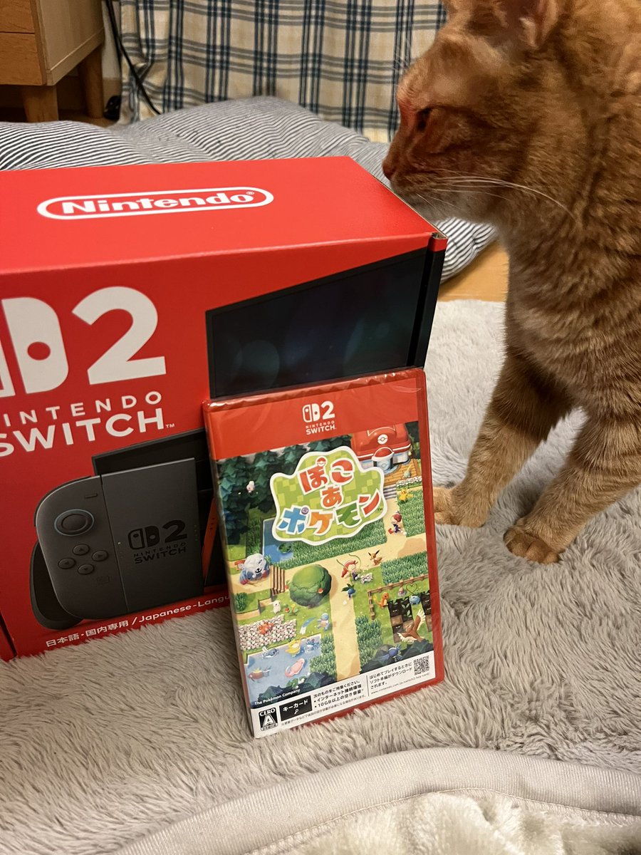 あるてぃめっと tweet media