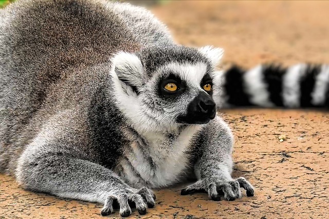 Michelle Sutton tweet media