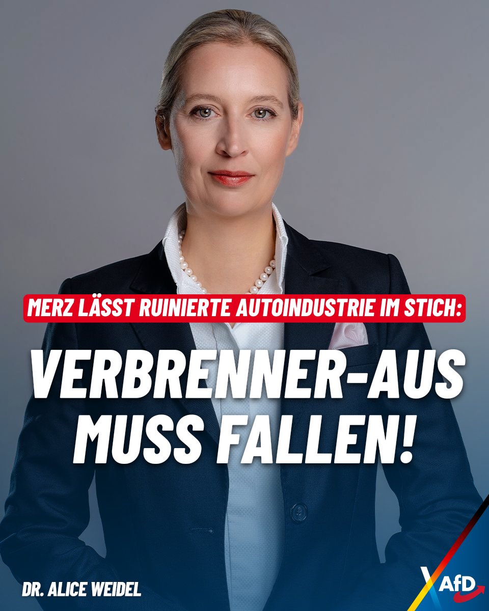 Alice Weidel tweet media