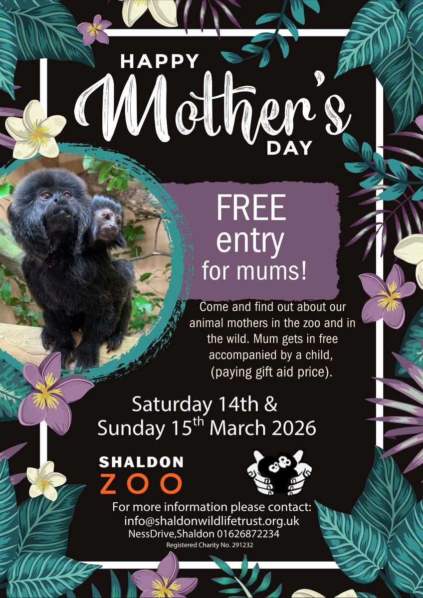 AccessAllAerials tweet media