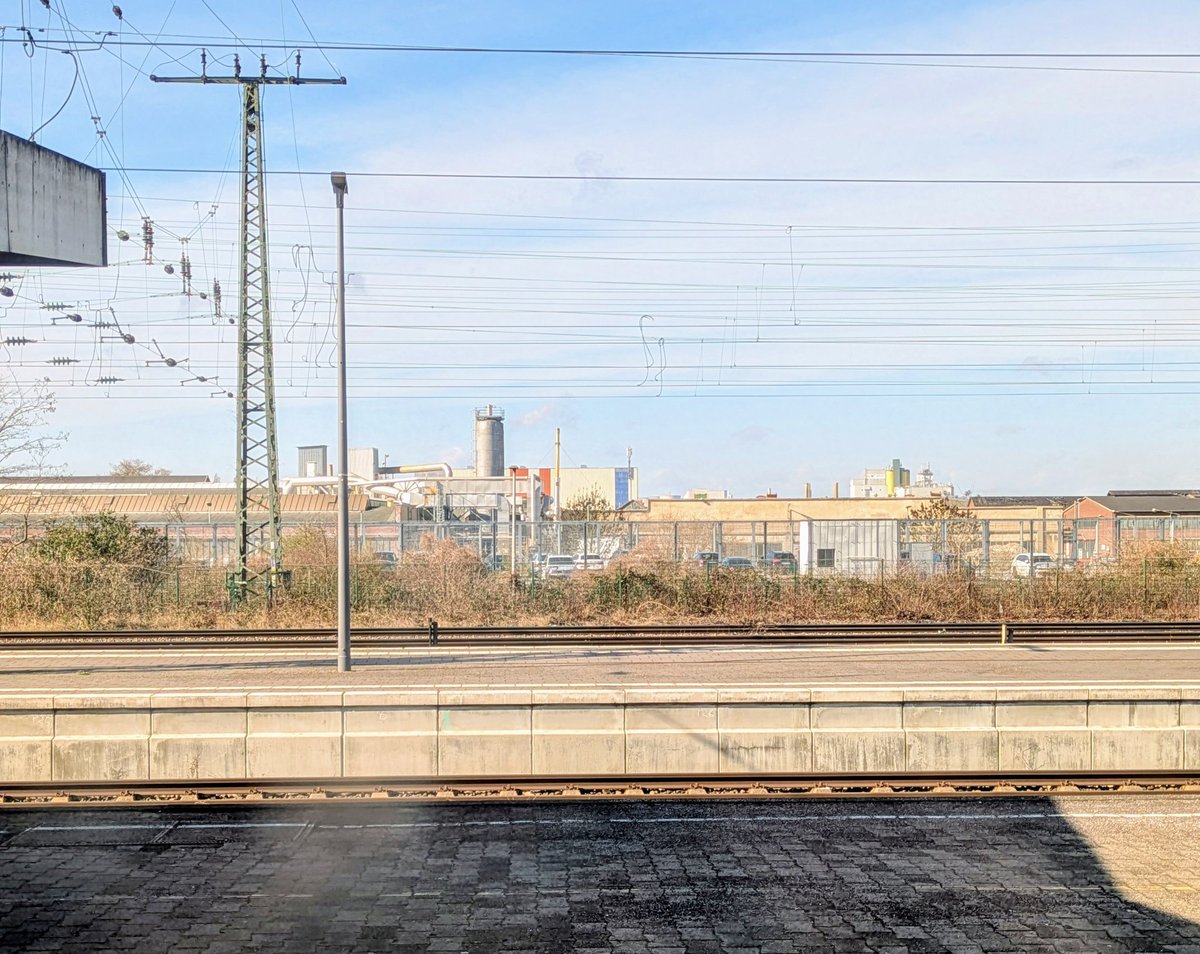 Holger Schäfer tweet media