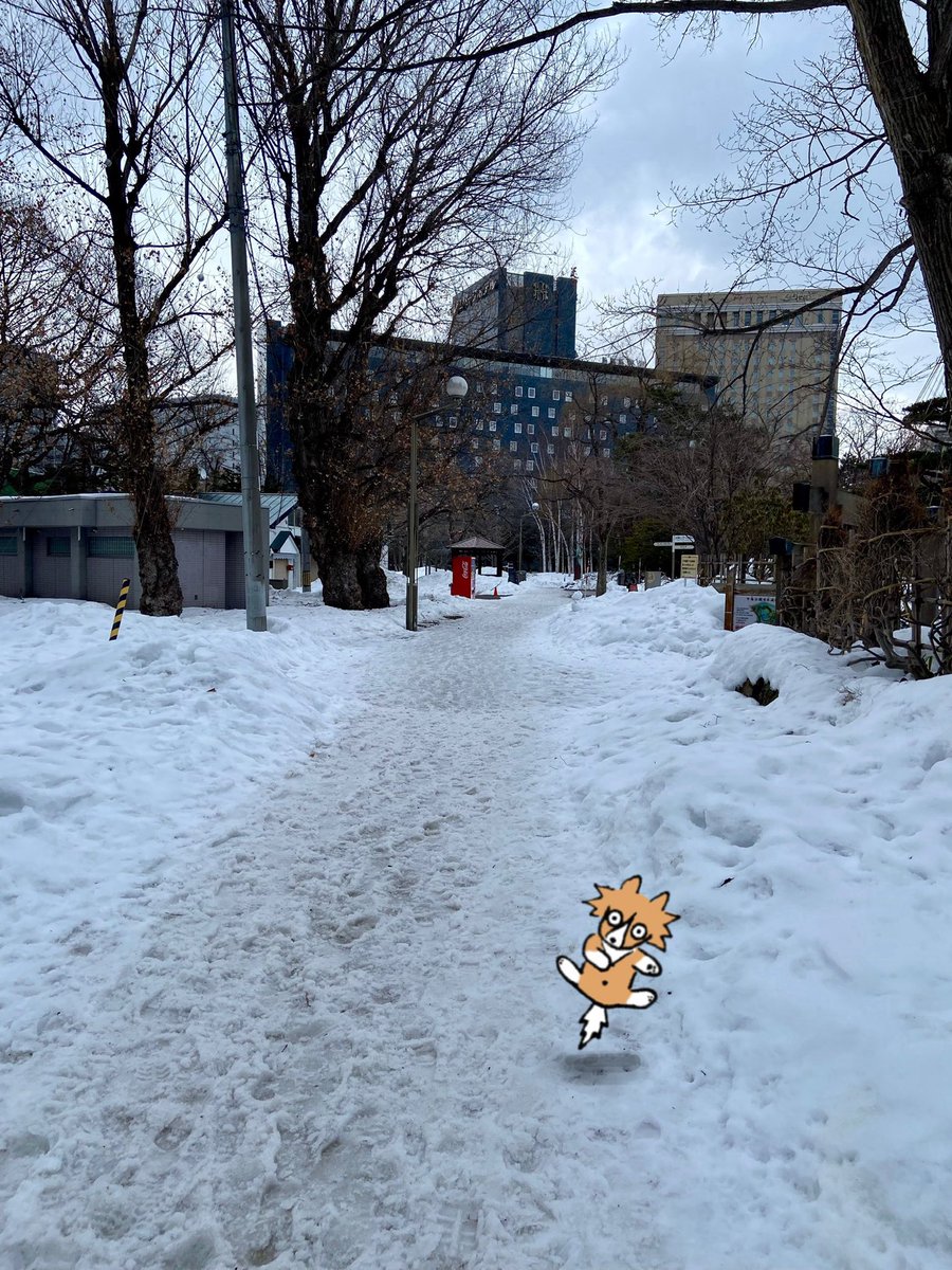 anshinryoku's tweet photo. 無事札幌に到着✈️
雪道で早速ずっこけそうになるもギリギリ回避✌️ https://t.co/QGvjHcH9l3