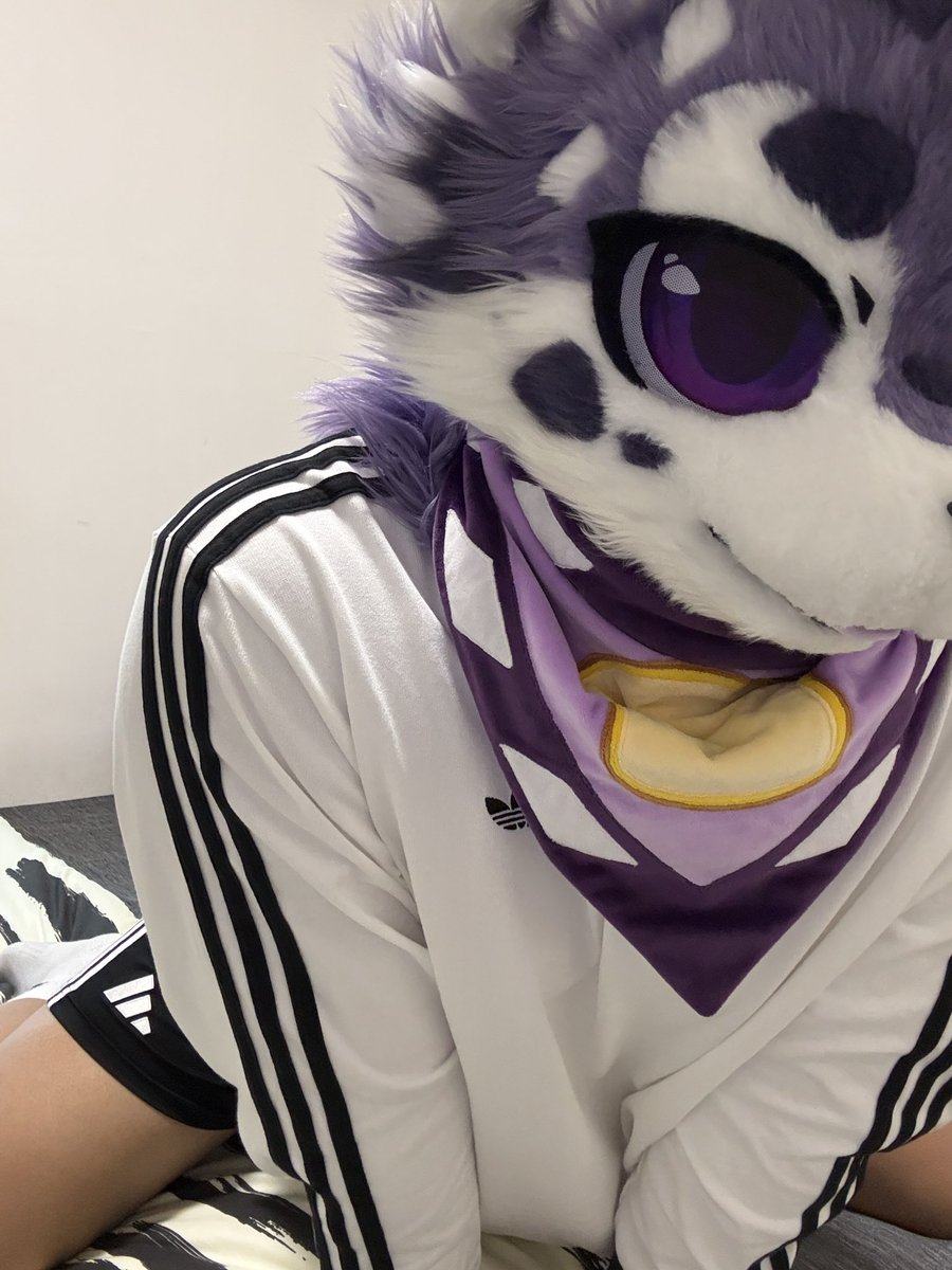 吐司轰炸机 tweet media