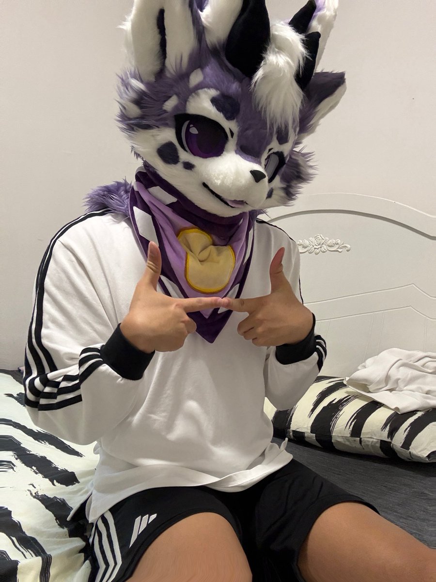 吐司轰炸机 tweet media