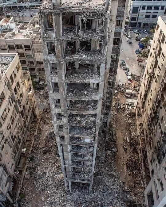 @Mr.Alhamdo tweet media