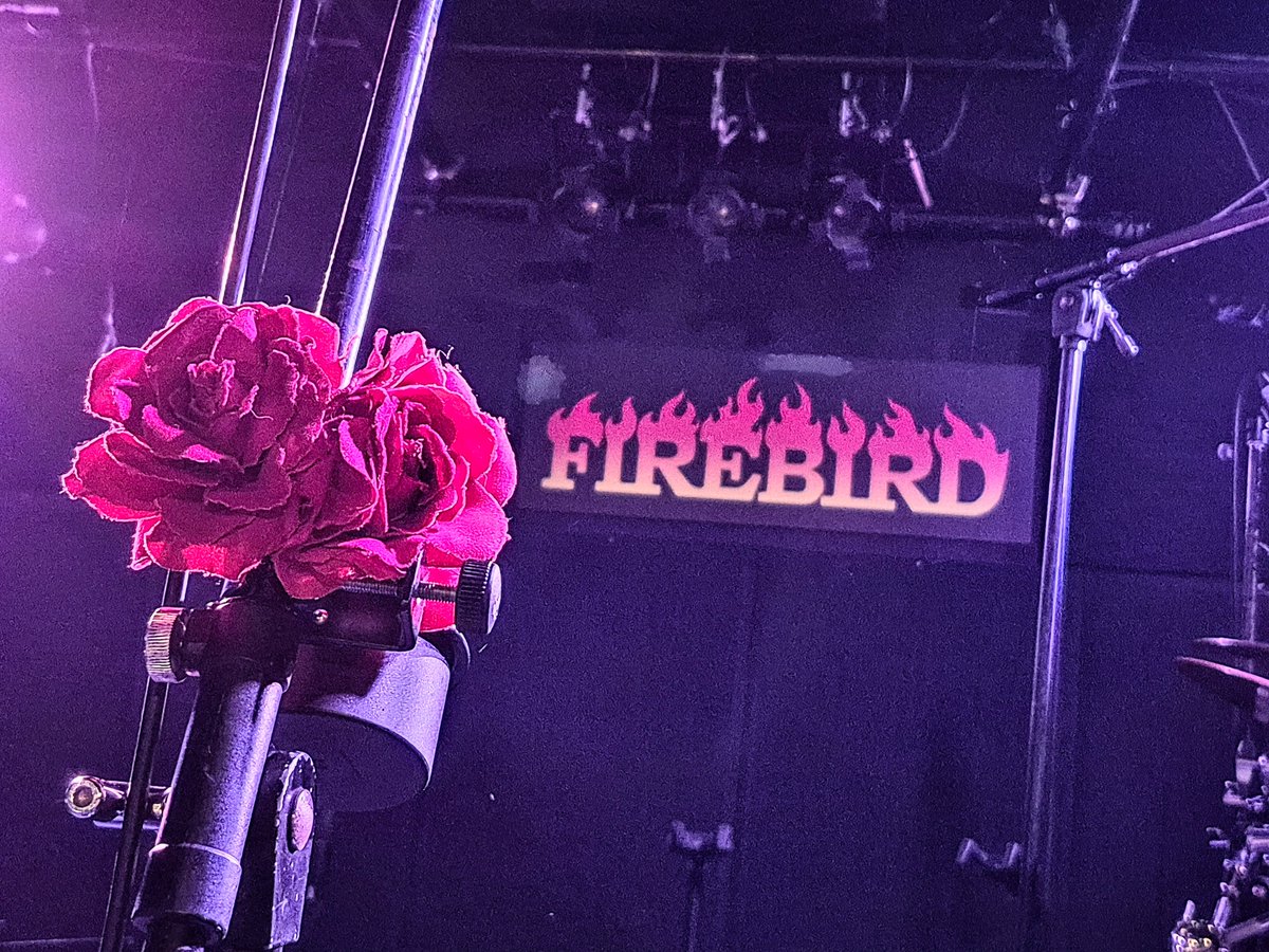 新井 洋一 tweet media