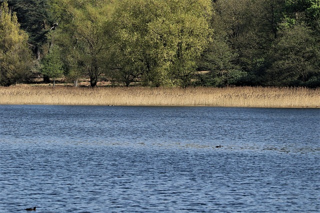 Allison Smith tweet media