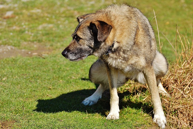 Isaac Murdock tweet media