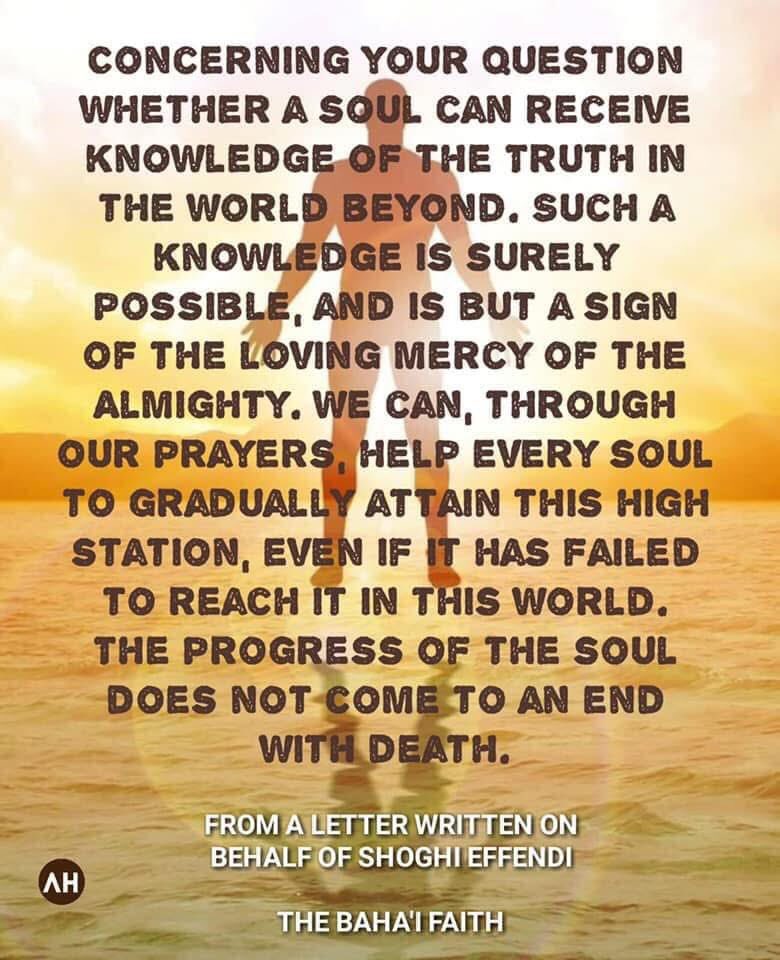 Ryan Daniels (@hallowreed) on Twitter photo 