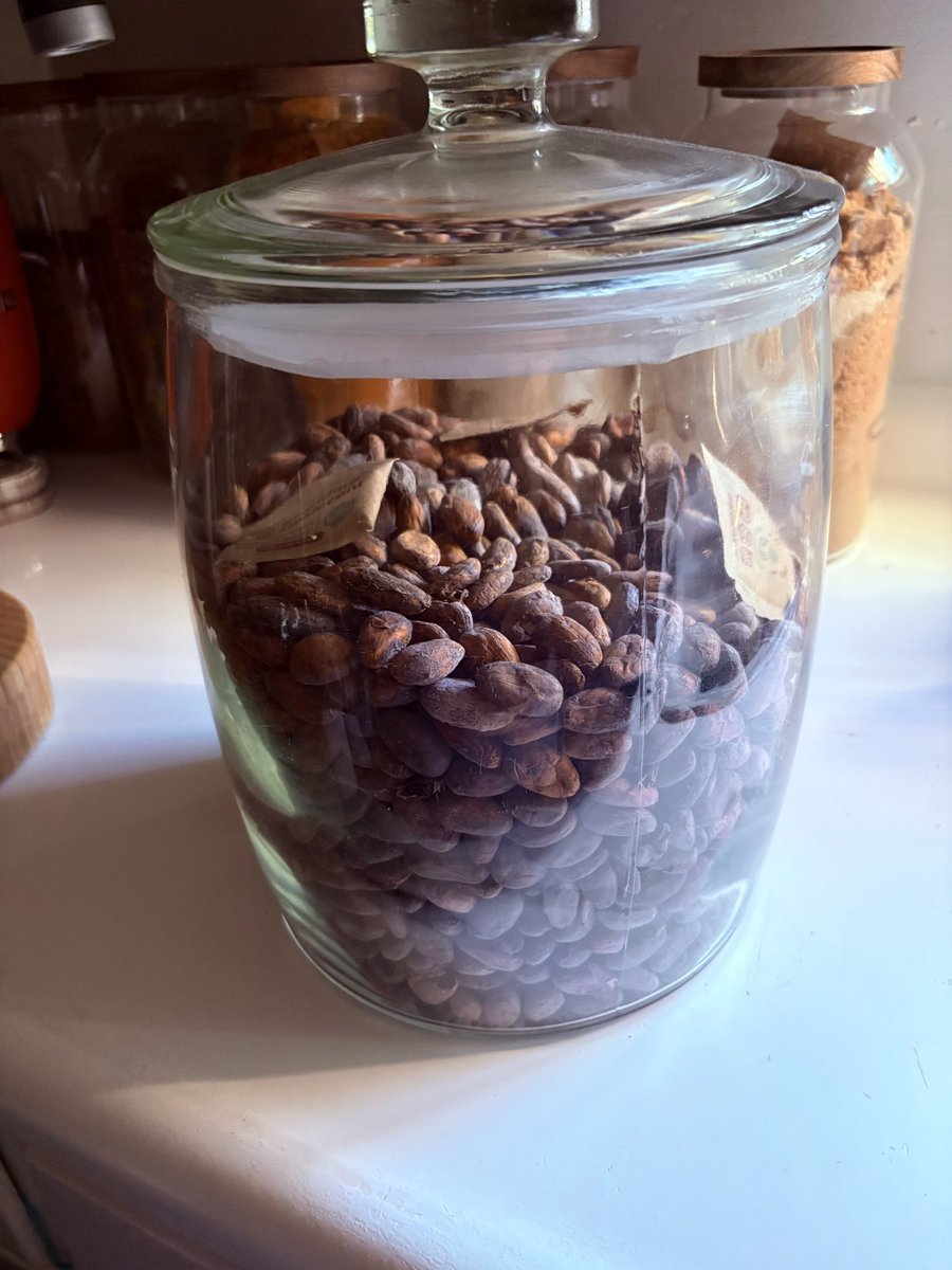 Fellarinasaurus Bonk tweet media