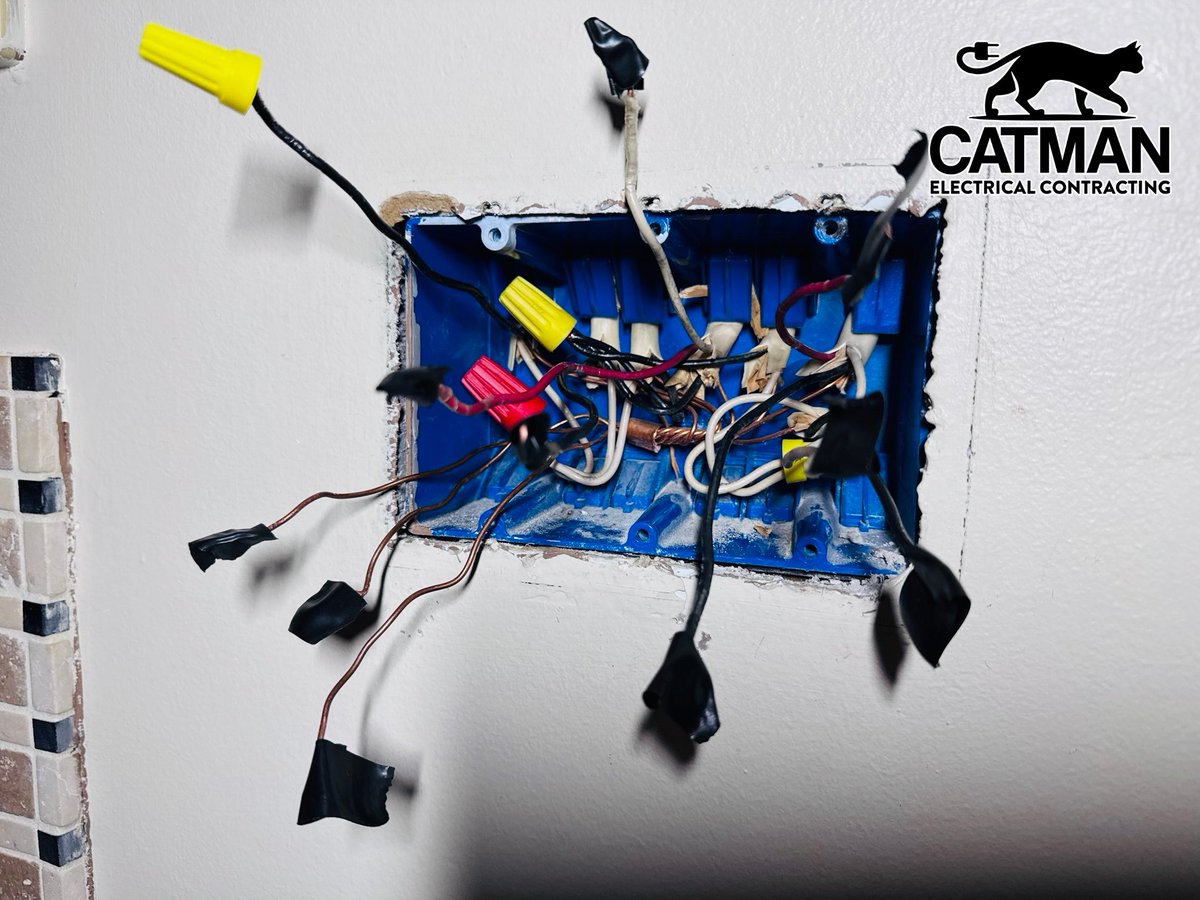 Catman Electrical Contracting tweet media
