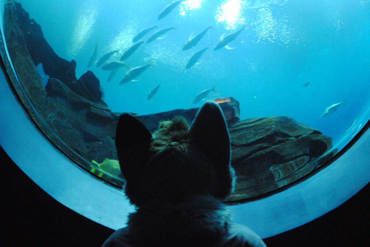 Gray 🔜 TFF tweet media