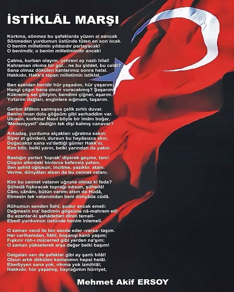 AçıkBeyin Eğitim tweet media