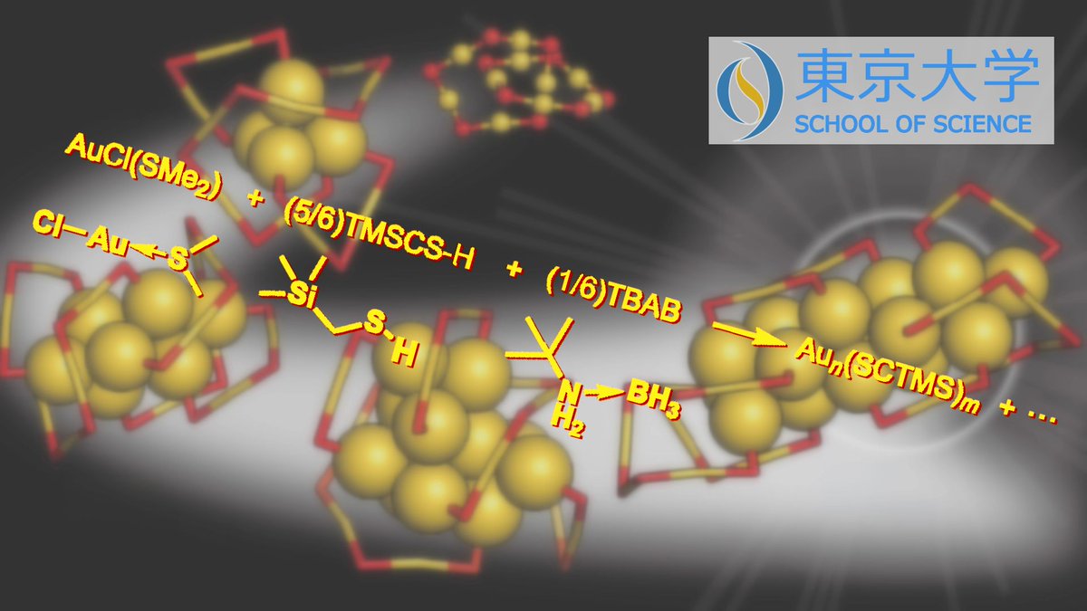 UTokyo School of Science tweet media