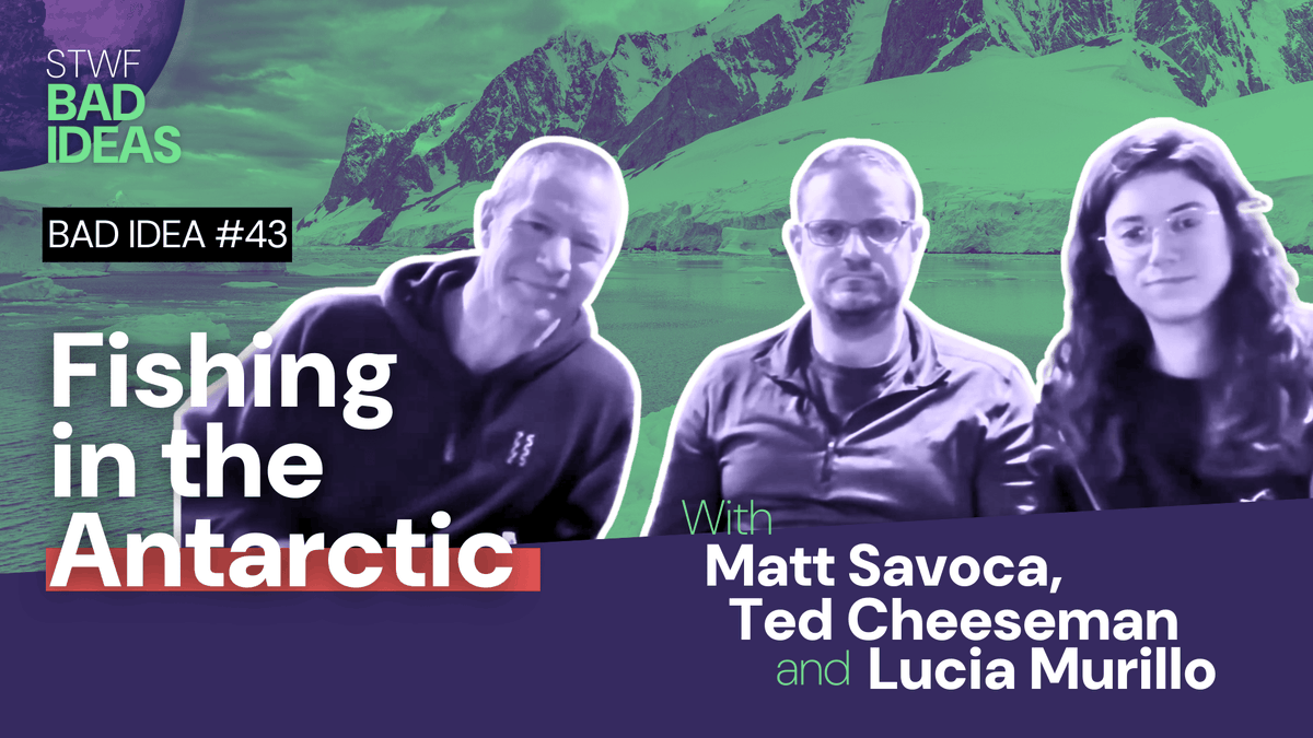 WePlanet tweet media