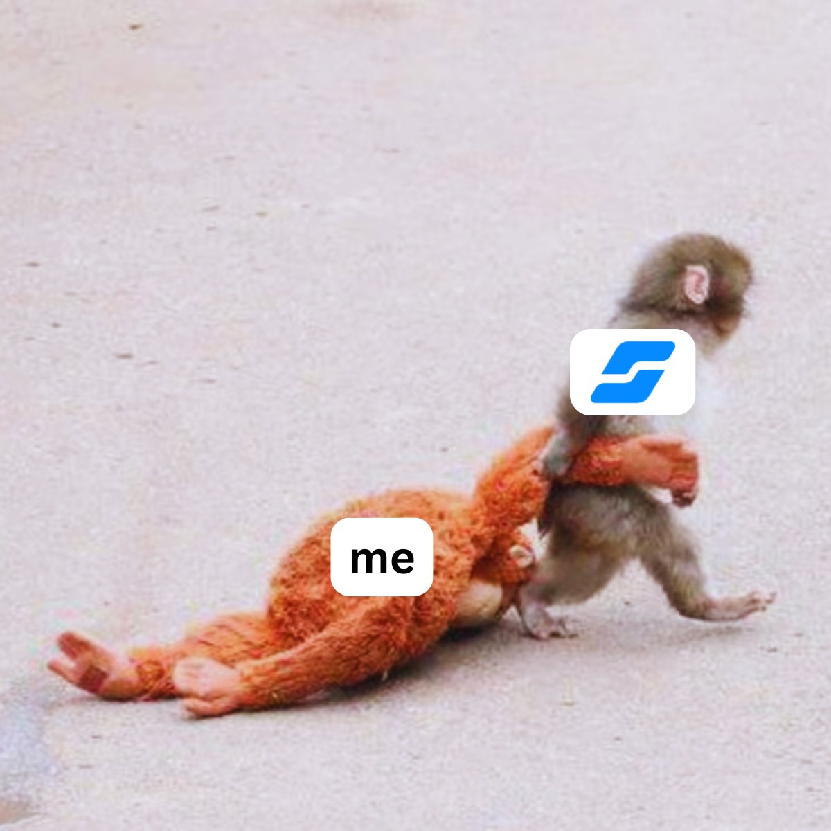 Solvexia tweet media