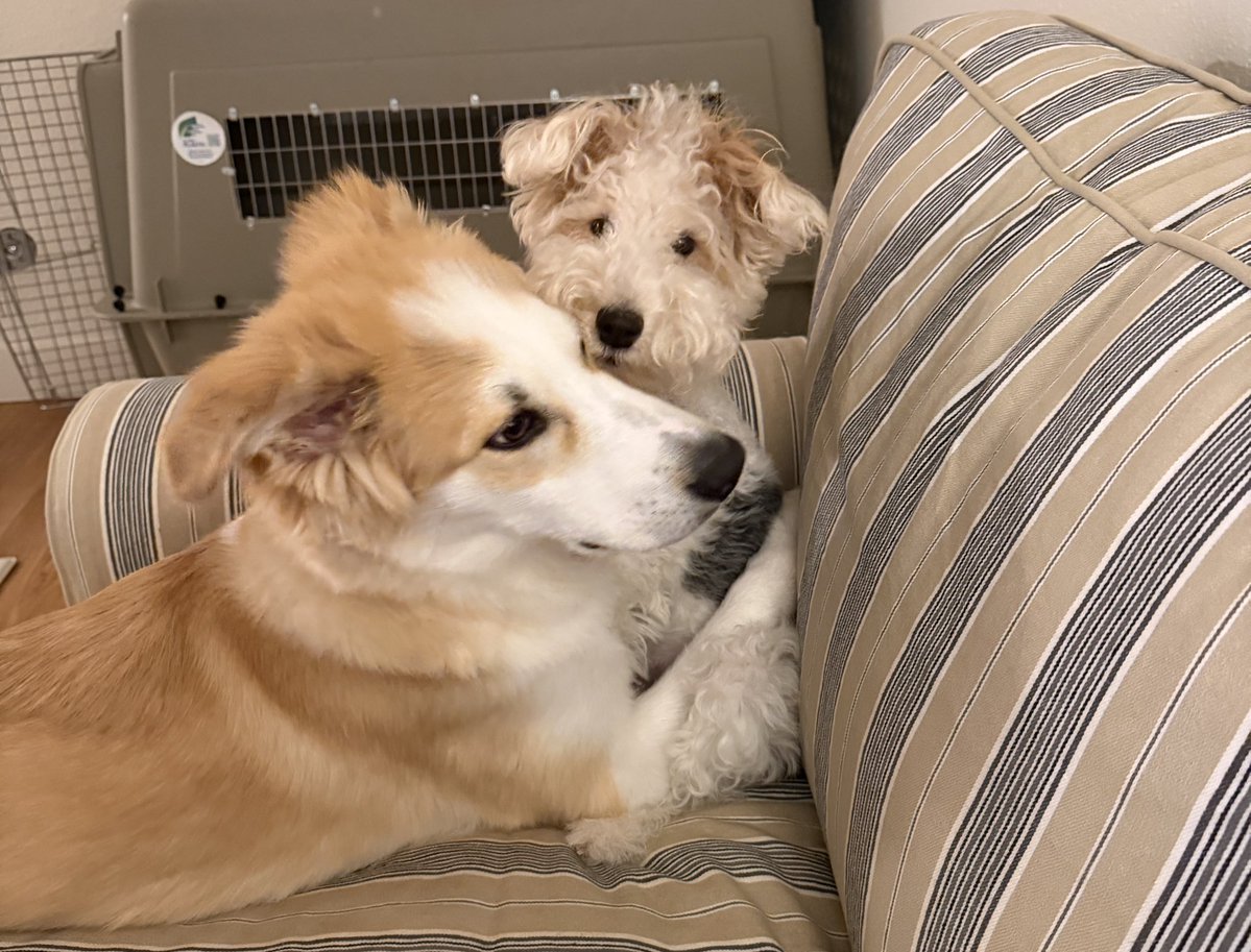 호밀빵의 파수꾼 tweet media