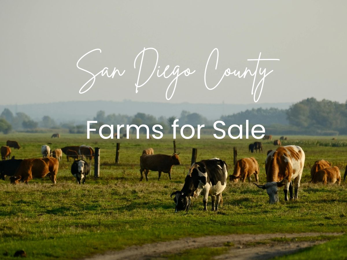 RachellRealtor's tweet photo. We've updates our Farms for Sale Property Page Again. Check out the New Resources and Get you San Diego Farm Buying Guide. https://t.co/o68RoUmxFe https://t.co/I92T6z268h