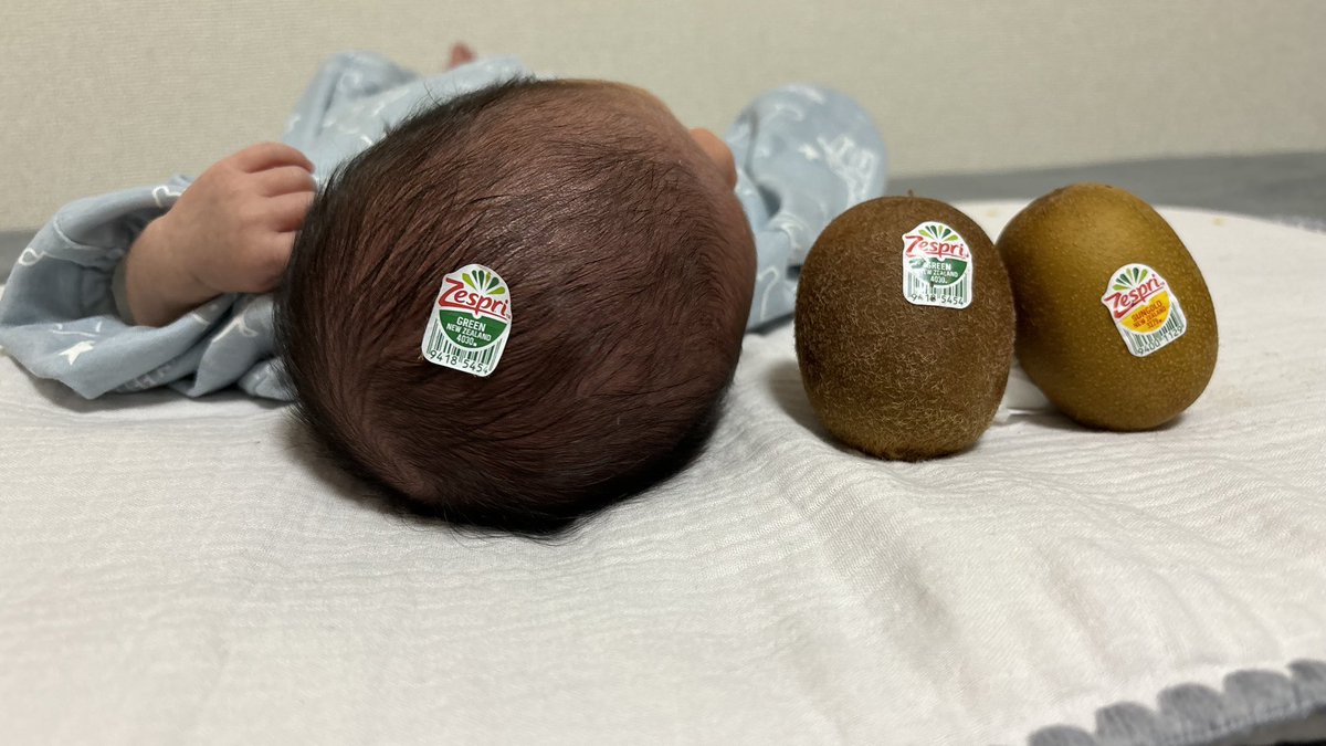 Kyon_0128Pyun's tweet photo. どのキウイ🥝が、お好き？
孫キウイ🥝
まだ１ヶ月も経ってない時のキウイそらお🥝

#キウイ
#孫 https://t.co/ullVmhsGt4