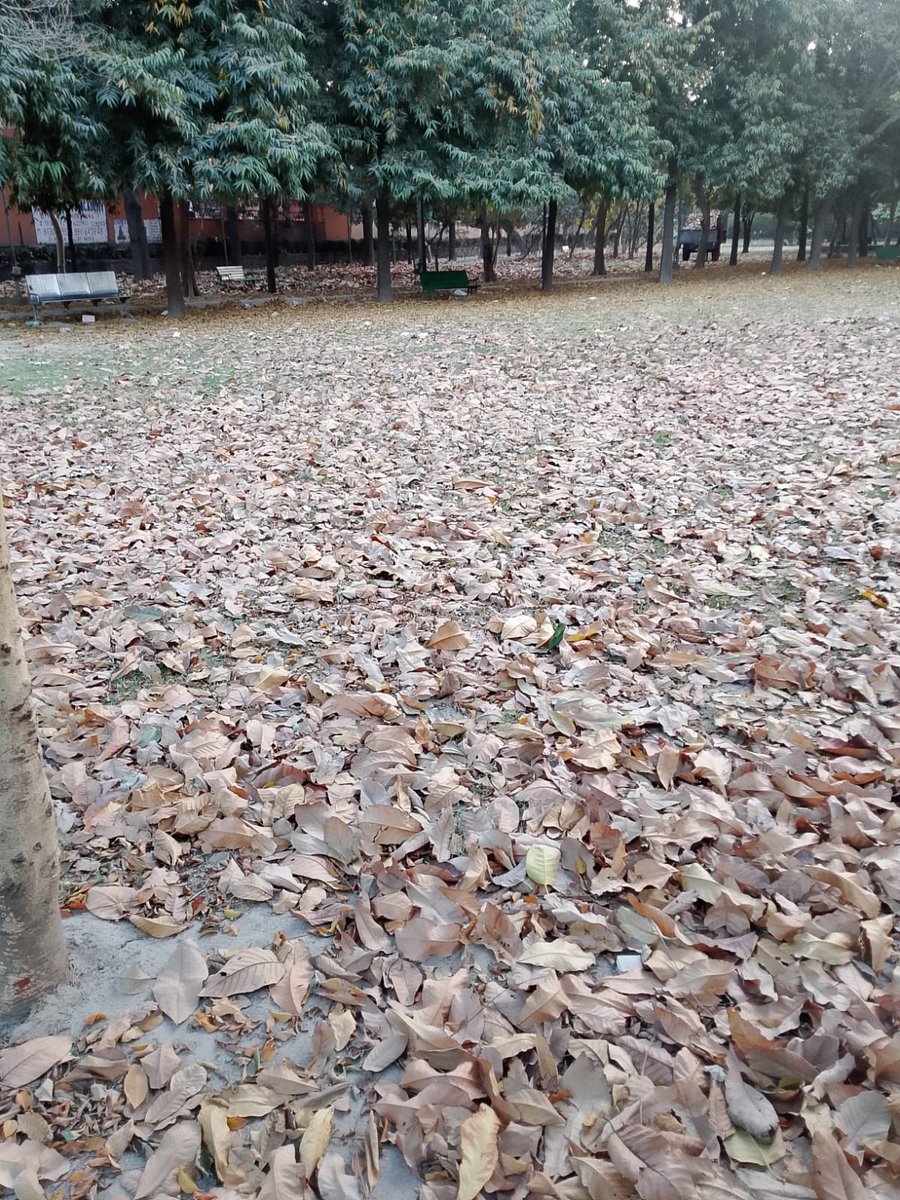 President RWA Sec 61 Noida tweet media