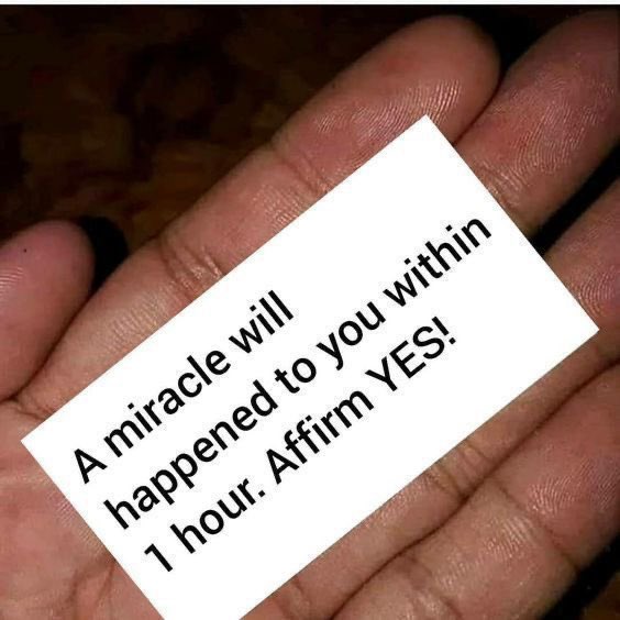 Law Of Attraction Coach tweet media