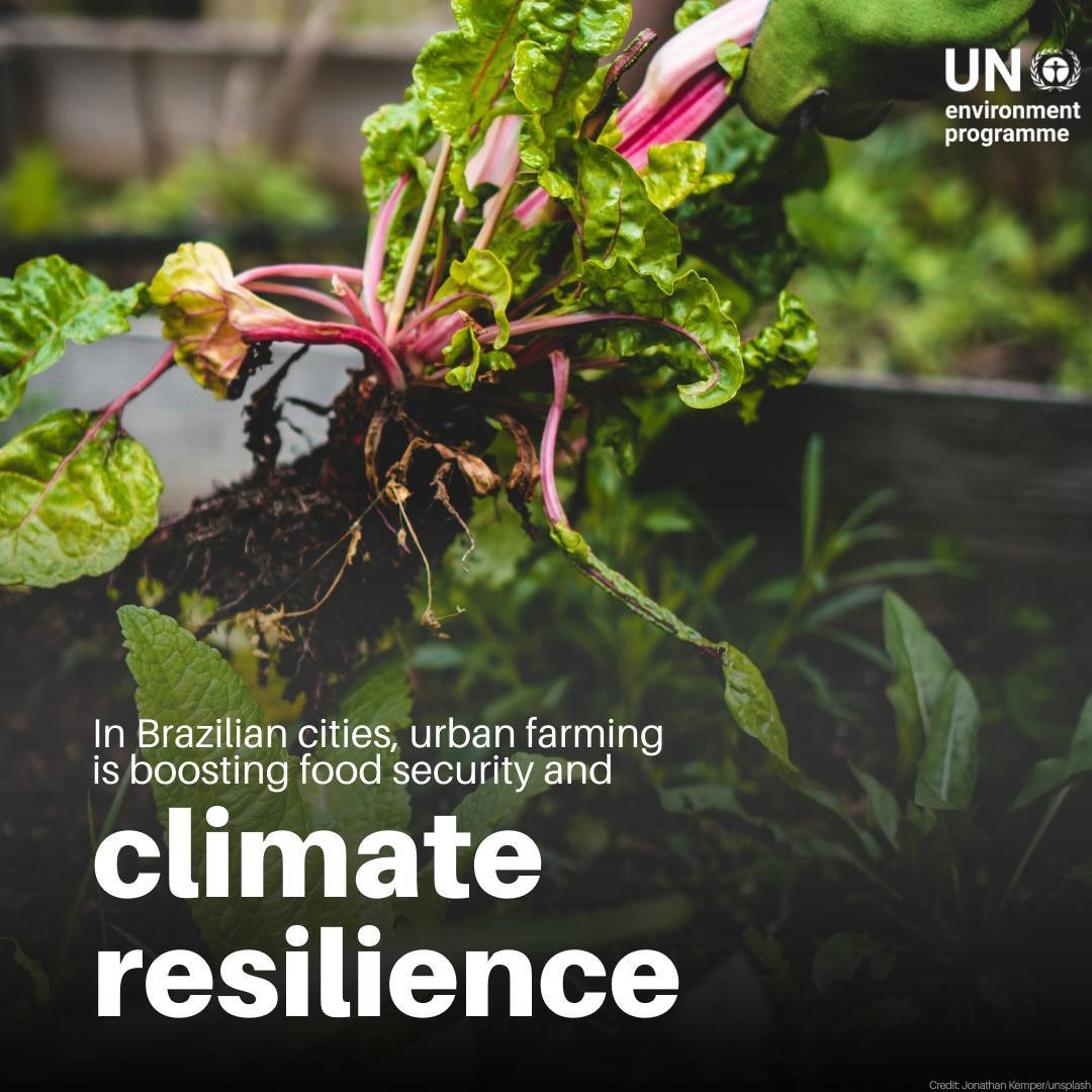 UN Environment Programme tweet media