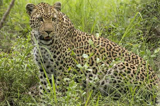 Shannon Ward tweet media