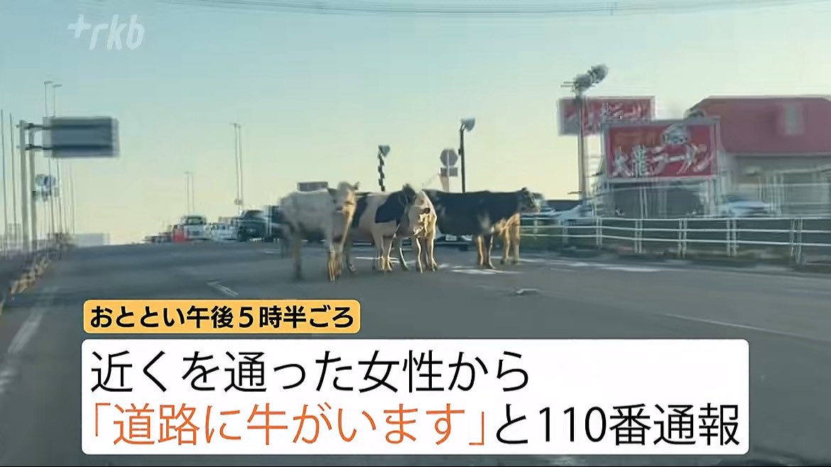 リアルモーモーカントリーで草