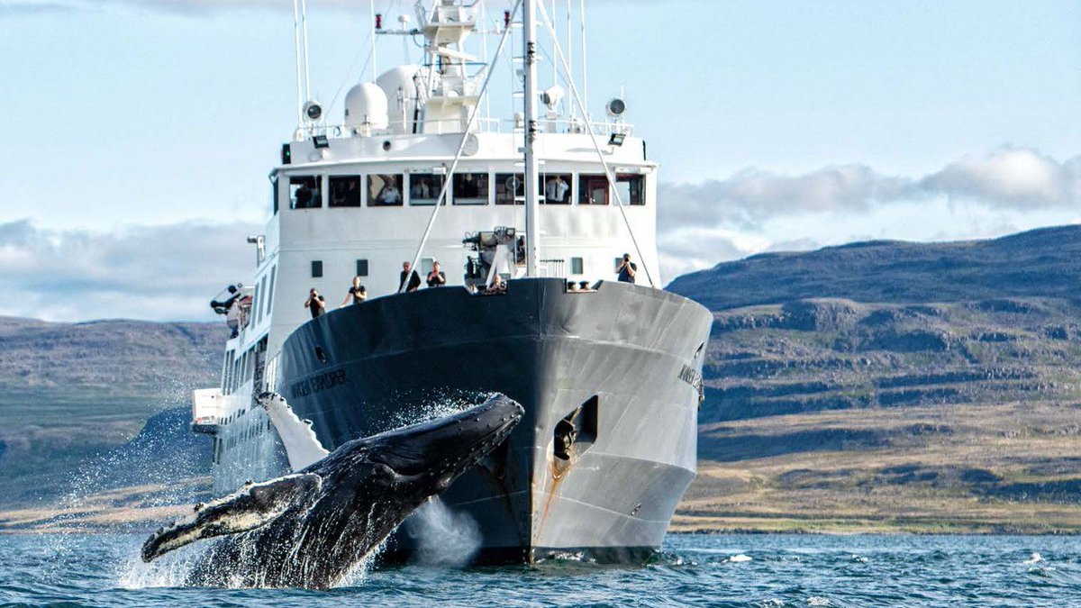 Alex Svanevik 🐧 tweet media