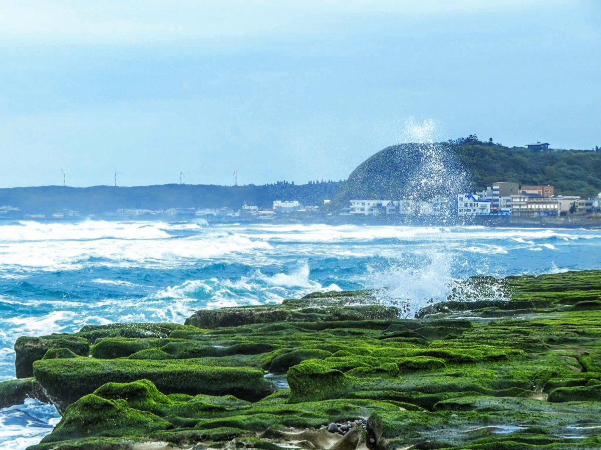 NewTaipeiGov's tweet photo. Along the coast of #Shimen in #NewTaipei, the shoreline looks like it is covered with an emerald carpet. 🌋Volcanic reef rocks, shaped by waves and winter monsoon winds, gradually grow layers of green seaweed. Spring is the best time to admire this natural wonder.🌅
📷FB吳森欉 https://t.co/Omzt6sqsMI
