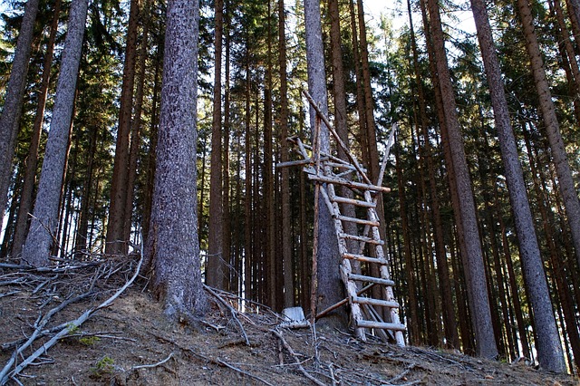 Adam Jenkins tweet media