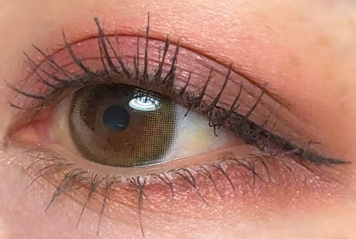 ぺかちーにょ🐟 tweet media