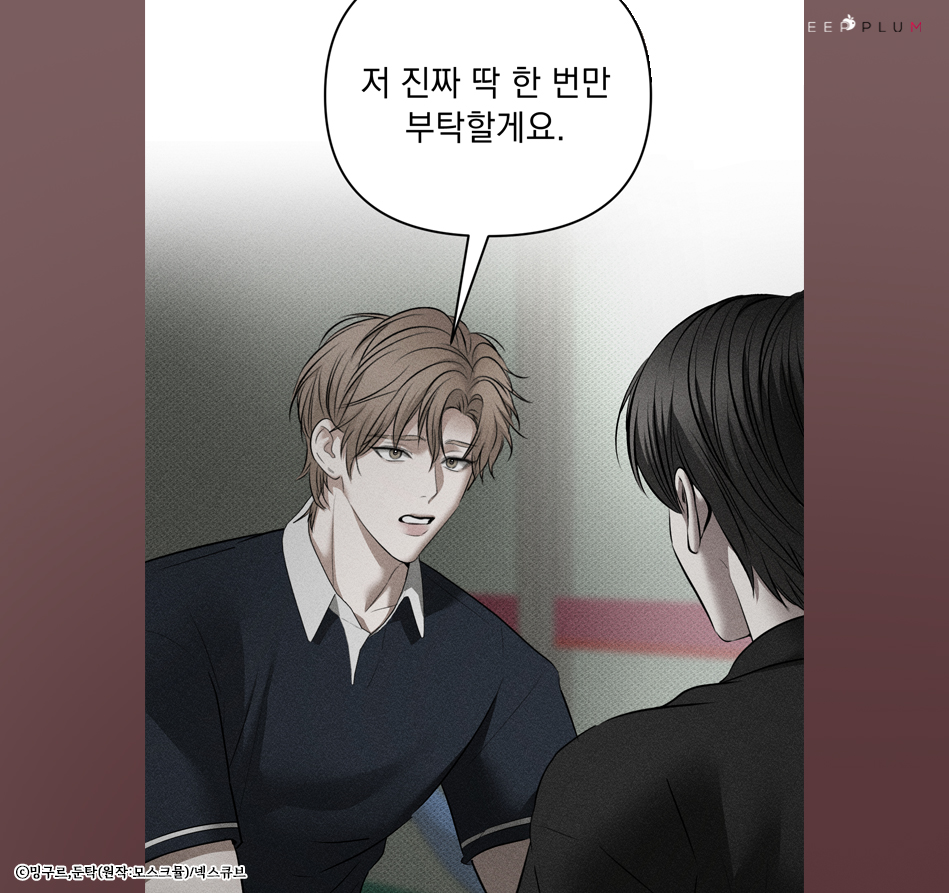 딥플럼 tweet media