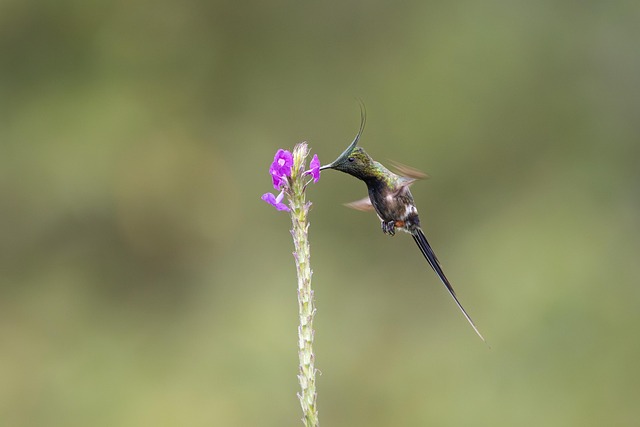 Sara Harrison tweet media