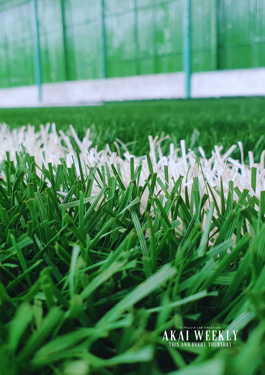 Jaja Haylu tweet media