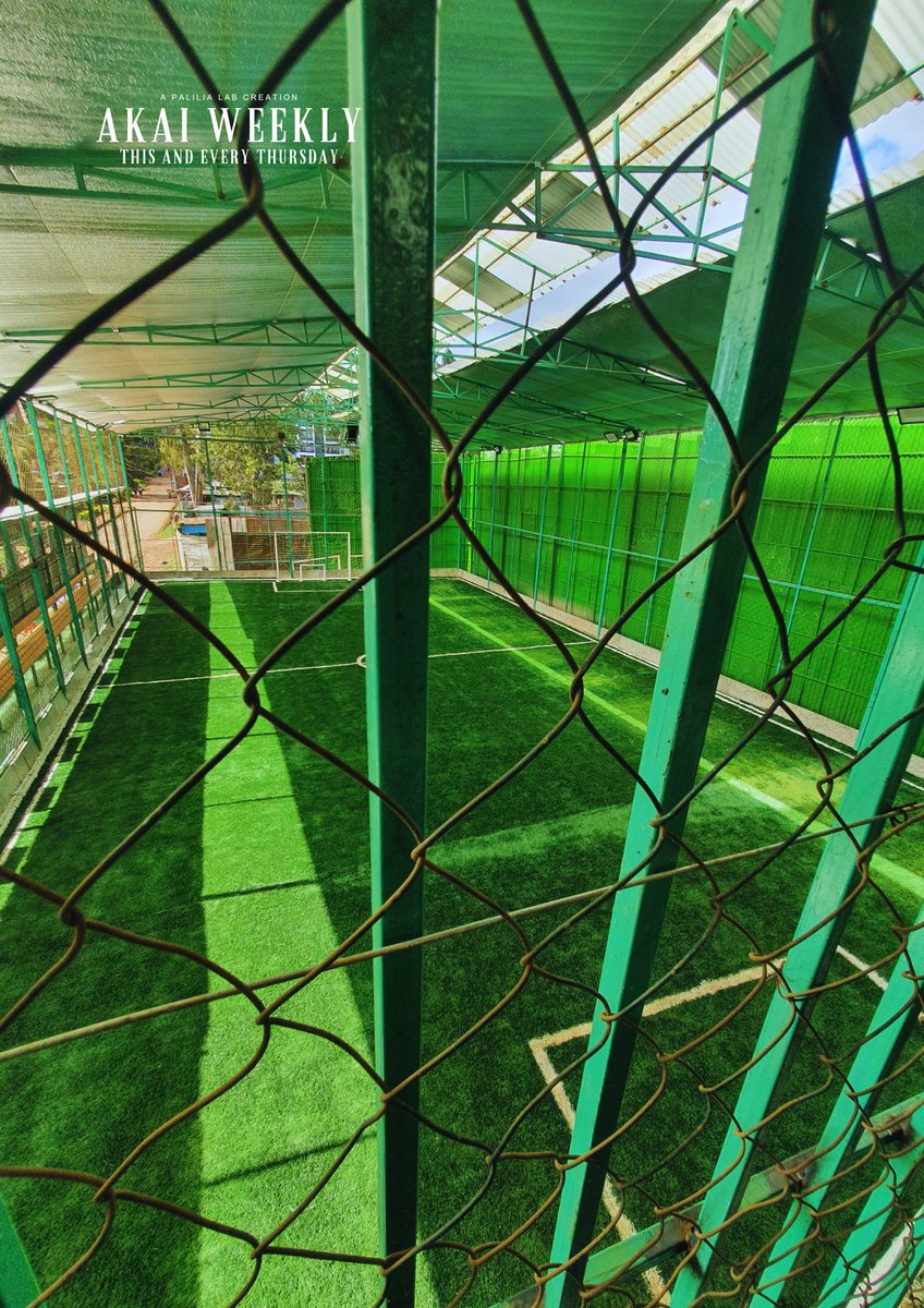 Jaja Haylu tweet media