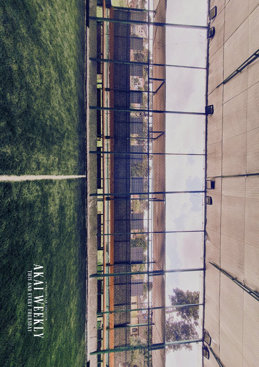 Jaja Haylu tweet media