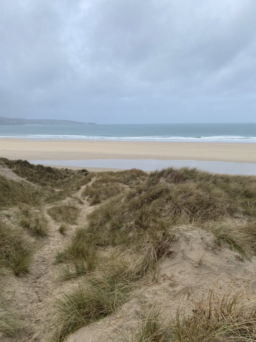 Paxmere..🕷️🏴‍☠️ 🐝🌹〓〓 🏴󠁧󠁢󠁥󠁮󠁧󠁿🇪🇺🦋 tweet media