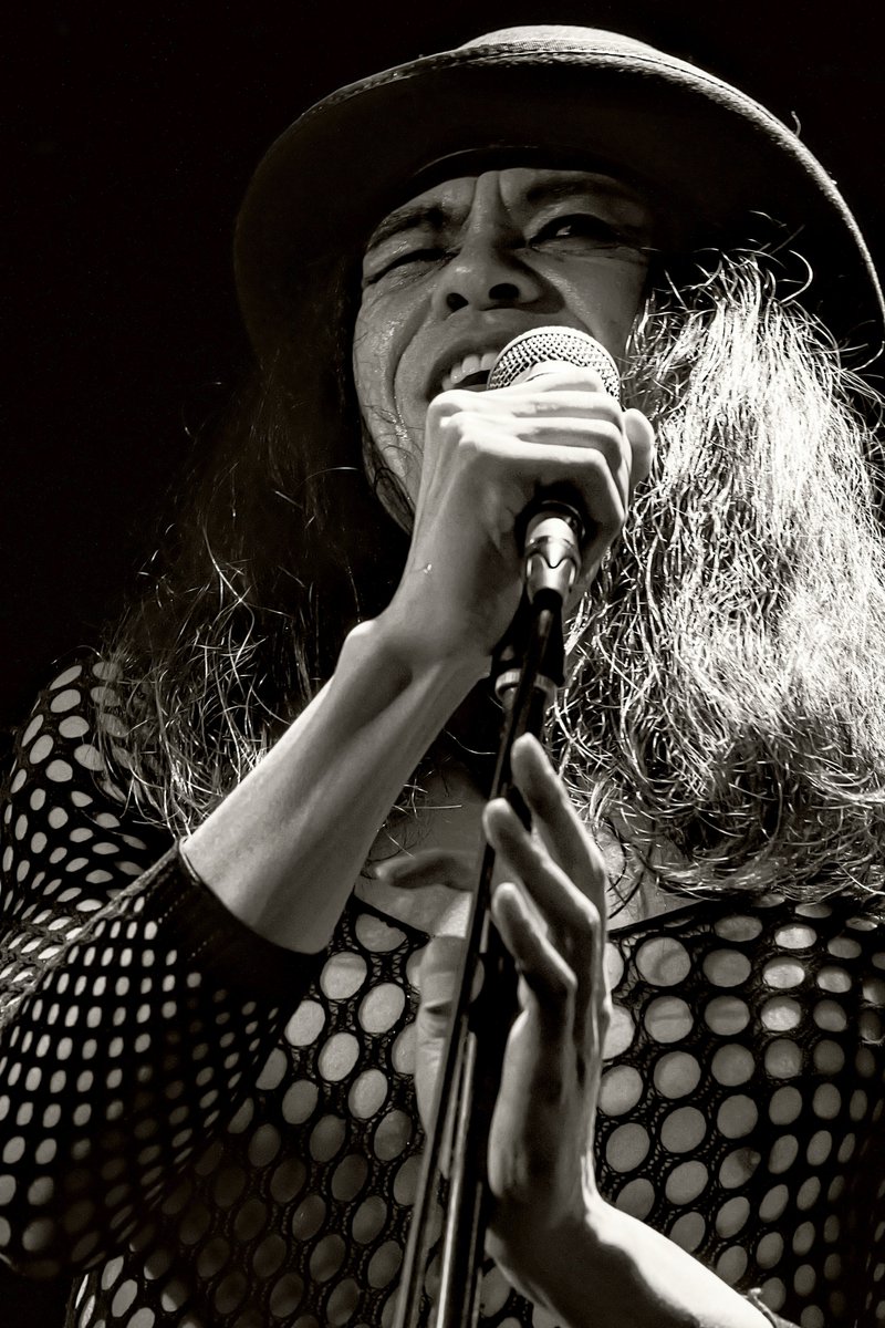 新井 洋一 tweet media