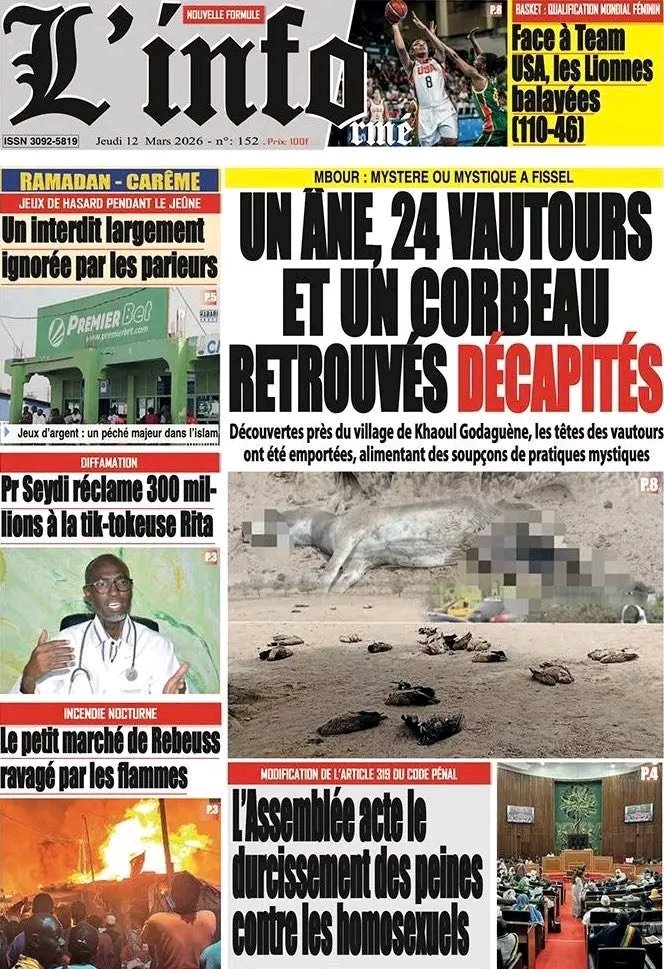 𝐋E 𝐂𝐈𝐓𝐈𝐙𝐄𝐍⭐⭐️🇸🇳🐬 tweet media