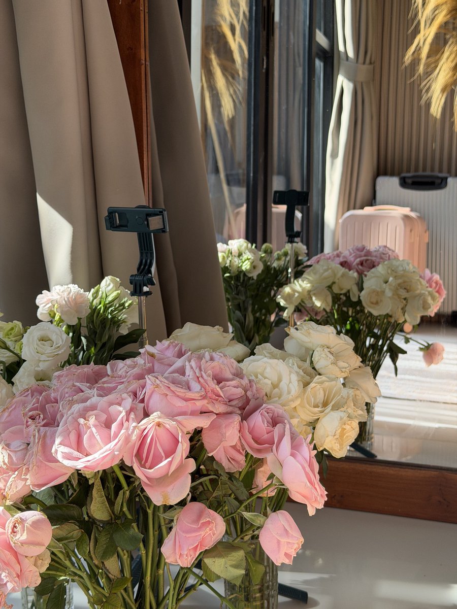 DexQueen.edgeX tweet media