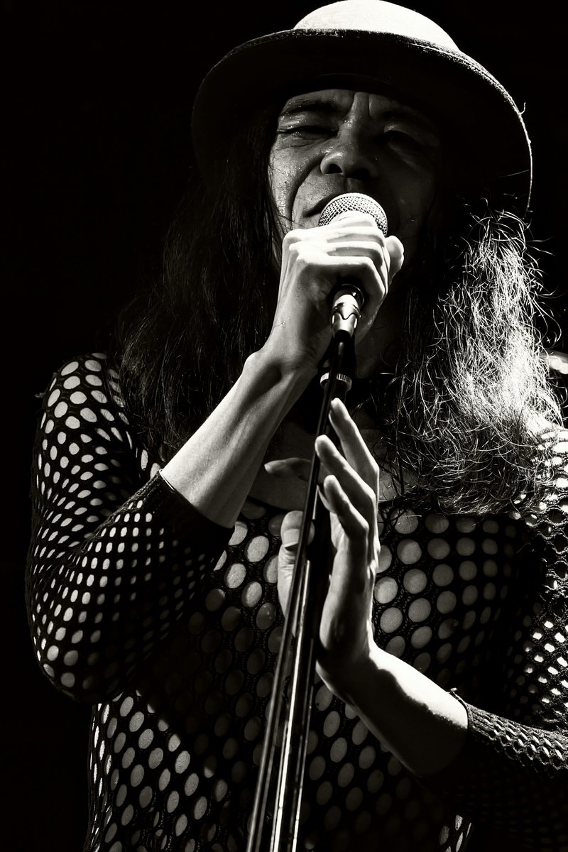 新井 洋一 tweet media