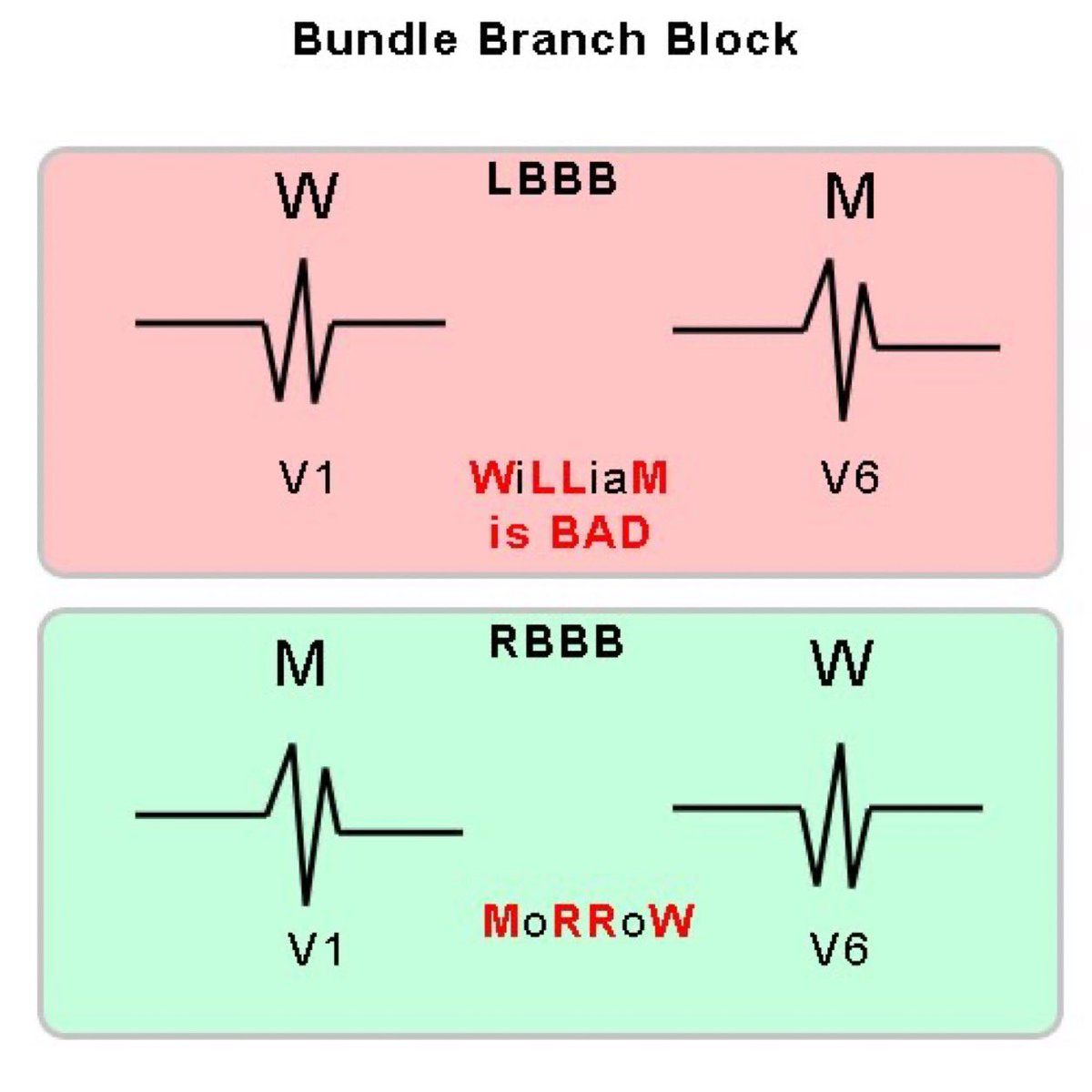 OrcaMed🔲 tweet media