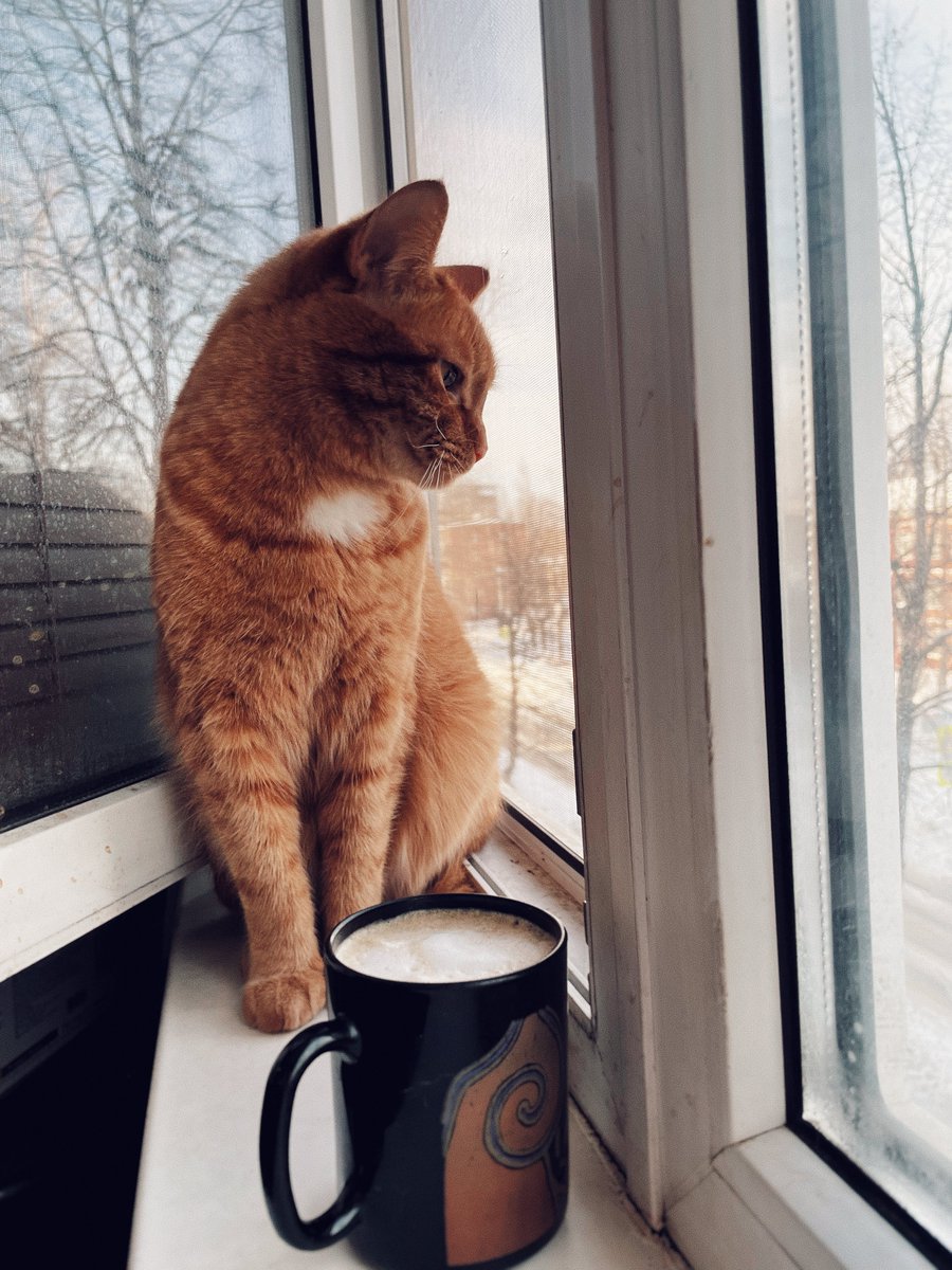 Aleksey Eltsöv tweet media